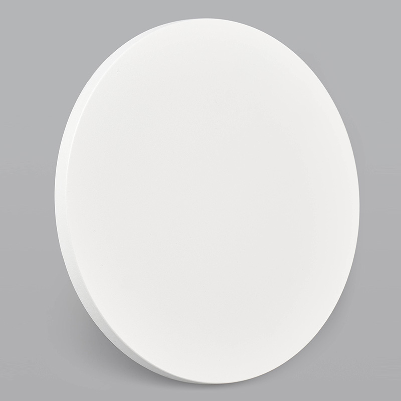 20W LED WALL LIGHT