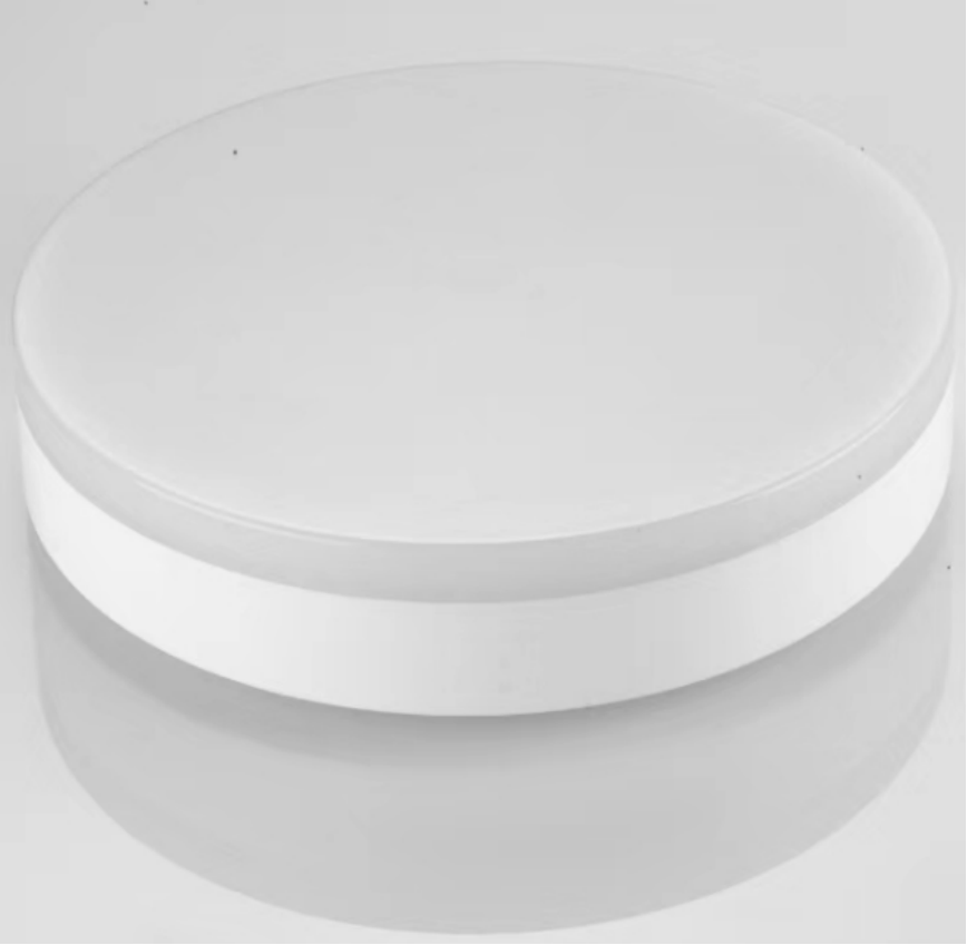 LED Celing light