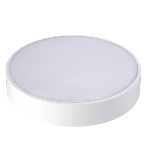 LED Ceiling Light