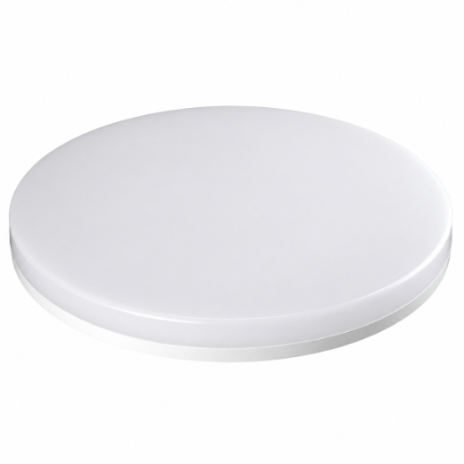 LED Ceiling Light