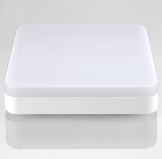 LED Ceiling light
