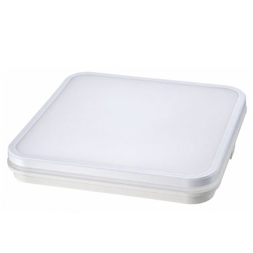 LED Ceiling Light